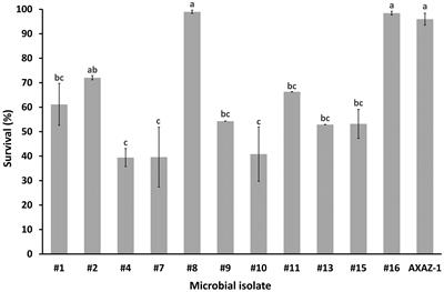 Isolation and in vitro screening of the probiotic potential of microorganisms from fermented food products